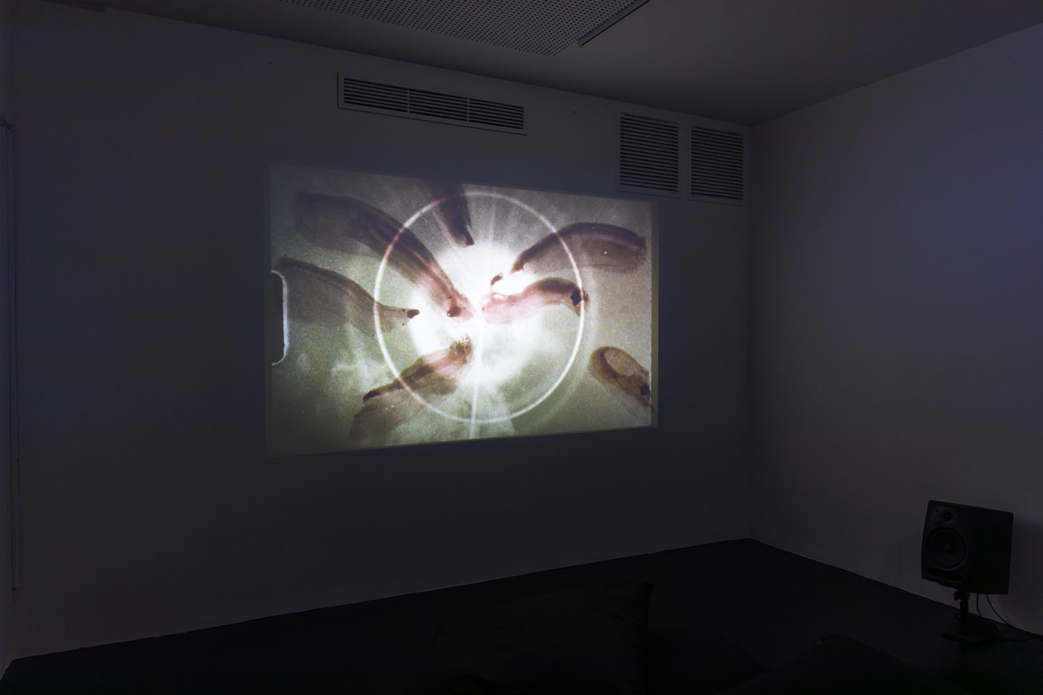 Exposició a la Sala Negre, Centre Cultural Las Cigarreras, Alacant, 2025. Curada per Leti Cano. Fotografies de Pablo Gormaz
